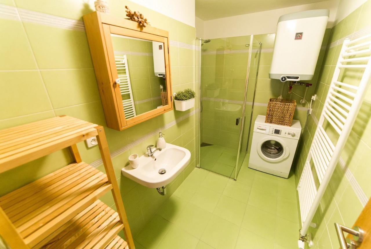 شقة Apartman Ctyrlistek Lipno ليبنو ناد فلتافو المظهر الخارجي الصورة